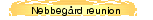 Nebbegård reunion